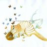Numbat-Butterflies.jpg